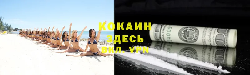 COCAIN FishScale Лебедянь